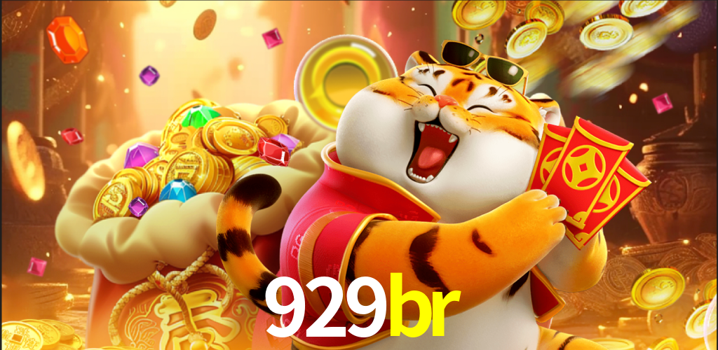 929br.com