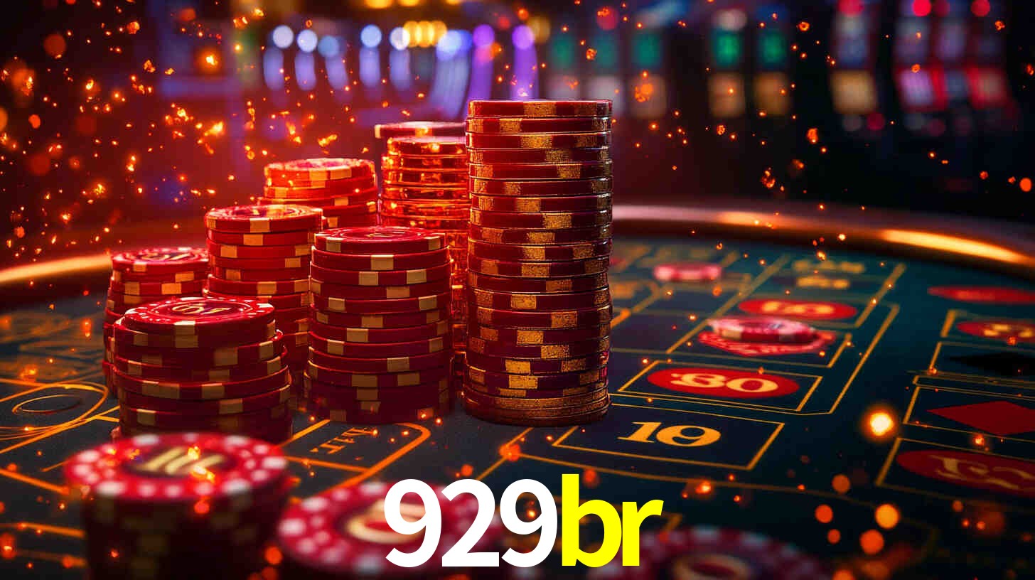 929br App Interface
