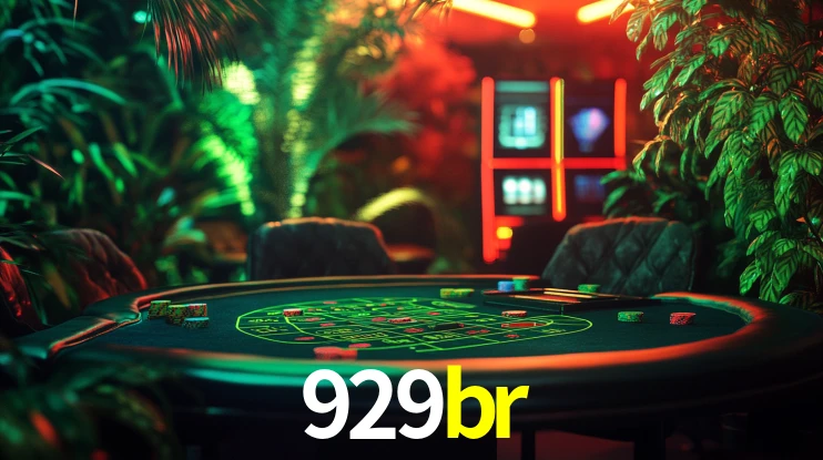 Programa VIP 929br